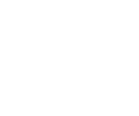 white-checkmark